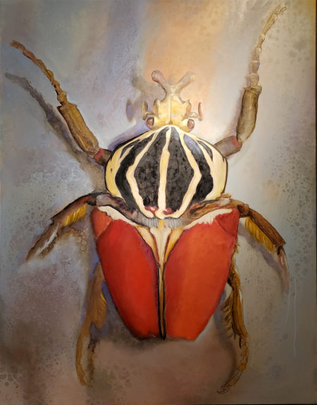 original-canvas-animal-insect