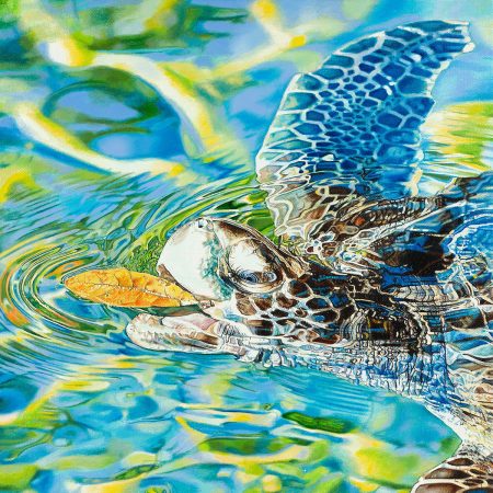 art-turtle-photorealism